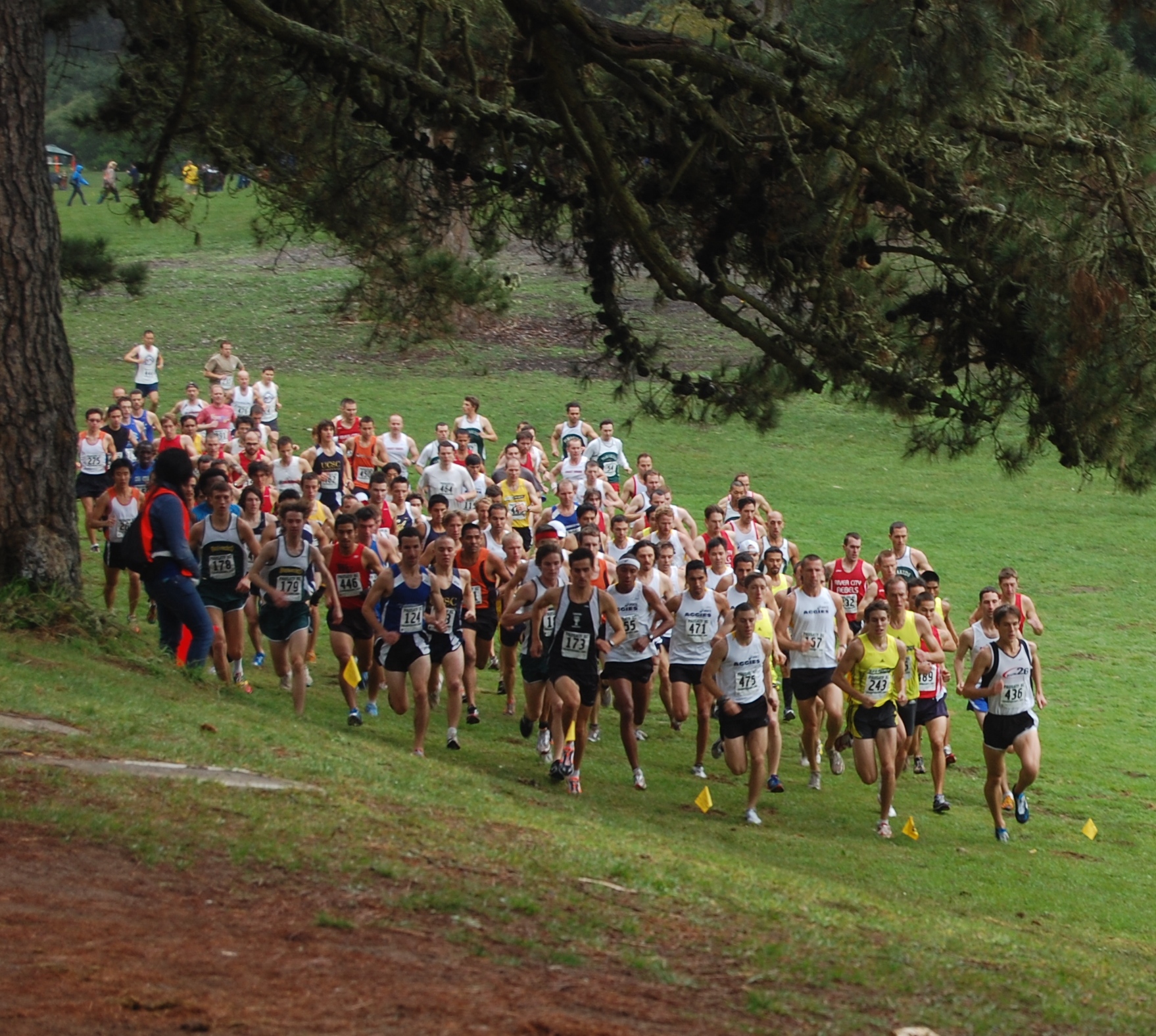 Image result for running cross country